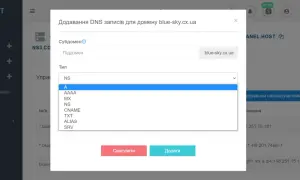 Dodawanie wpisu DNS typu A dla domeny blue-sky.cx.ua. Wpis SRV to jeden z typów rekordów DNS.